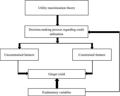 Effect of credit constraint on yield: the case of ginger producers in southern and central Ethiopia